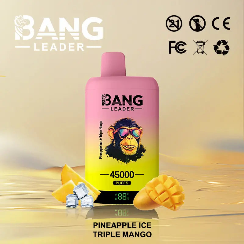 BANG LEADER 45K DOBLE
