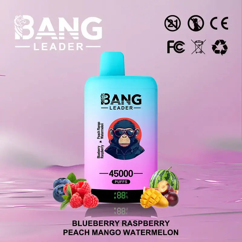 BANG LEADER 45K DOBLE