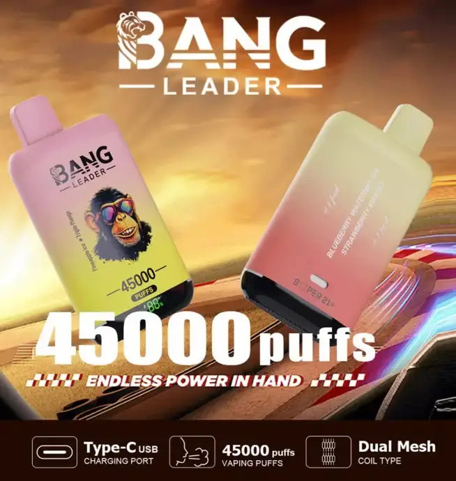 BANG LEADER 45K DOBLE